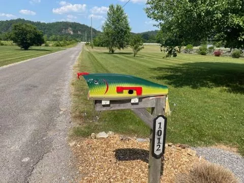 River's Edge Green Shad Fishing Lure Mailbox River's Edge Green Shad Fishing Lure Mailbox