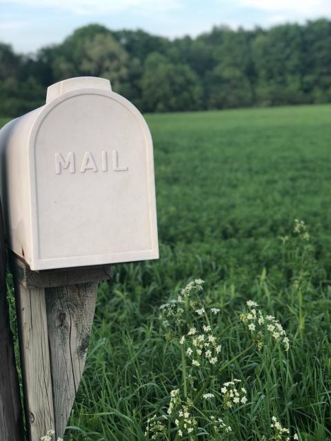 When to Replace Your Mailbox