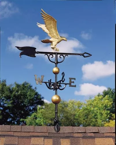 eagle-gold-bronzewv00428a