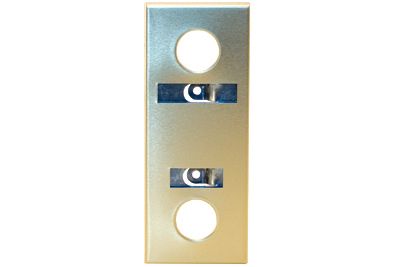 Escutcheon - Anod Gold with Design