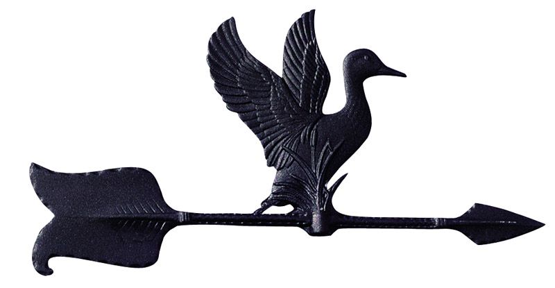 Whitehall 24" Accent Directions DUCK Weathervane in Black